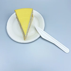 disposable flatware